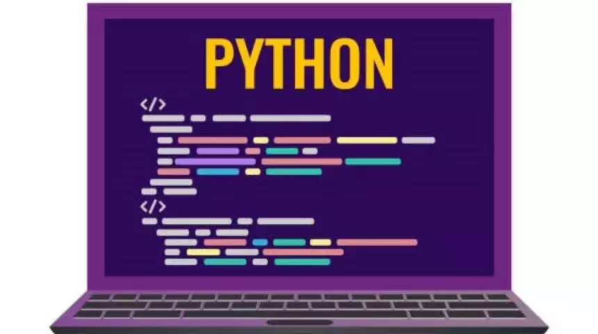 Python Web開発プロジェクトの適応性が非常に高い