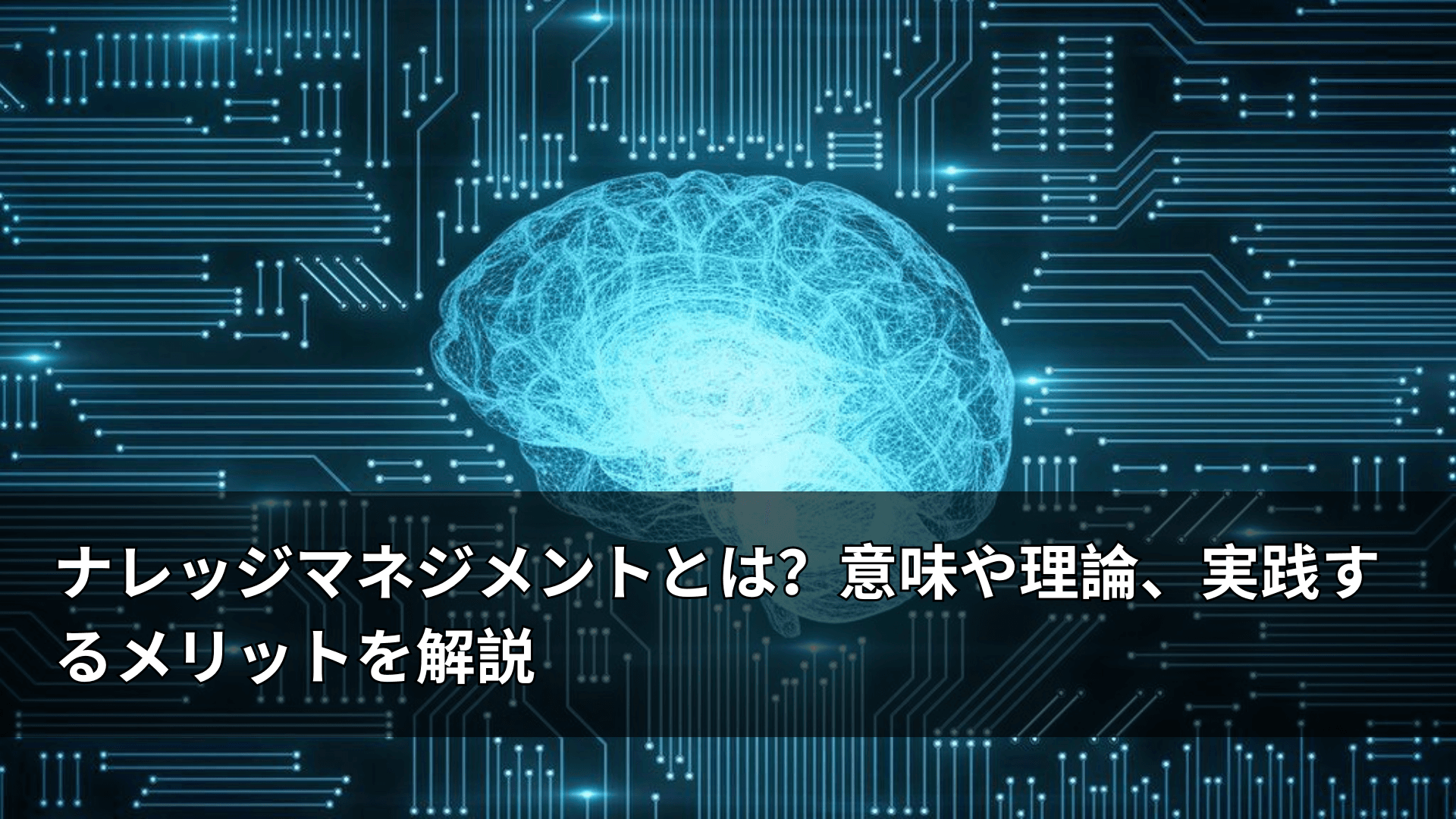 ナレッジマネジメントとは?意味や理論、実践するメリットを解説
