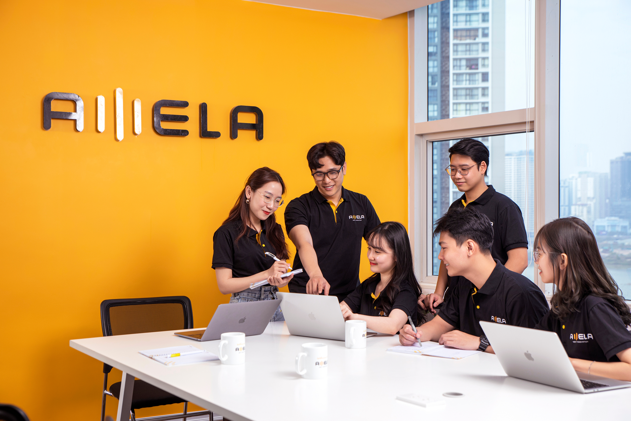 AMELA Japan team discussion
