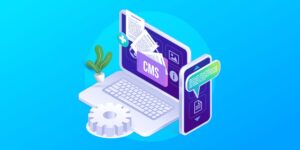 CMS（コンテンツ管理システム）を使用したマッチングサイト 無料の開発