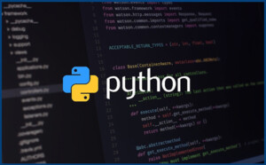 Pythonには、世界中に広がる強力な開発者コミュニティがあります